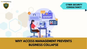 Cyber Security Consultancy: Access Management Essentials