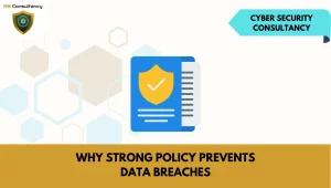 Cyber Security Consultancy: Policy and Data Protection